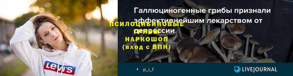 молекула духа Магадан