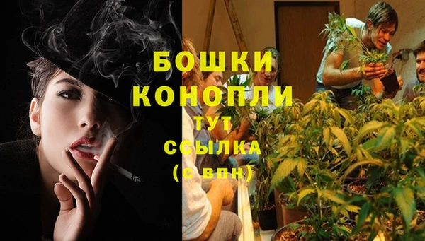 COCAINE Майский