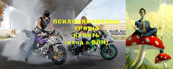 молекула духа Магадан