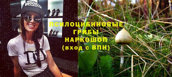 молекула духа Магадан